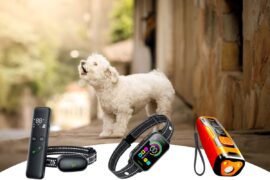 Best Barking Control Devices 2023