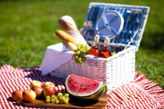 best picnic baskets 2023