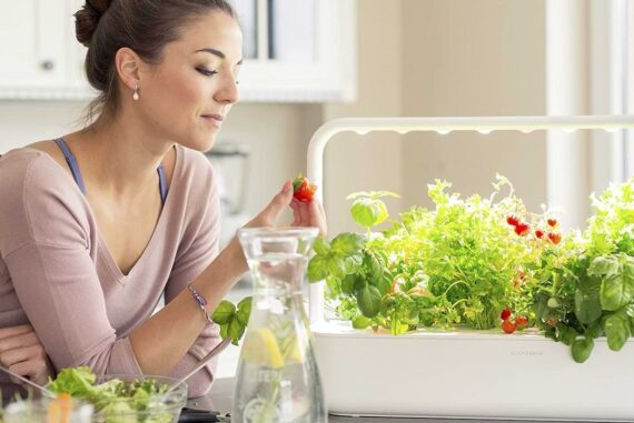 top urban gardening products 2023