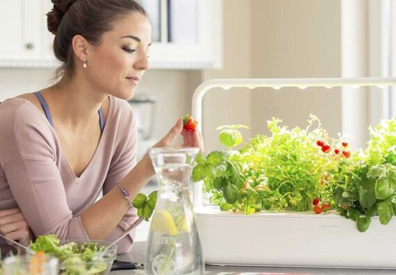 top urban gardening products 2023