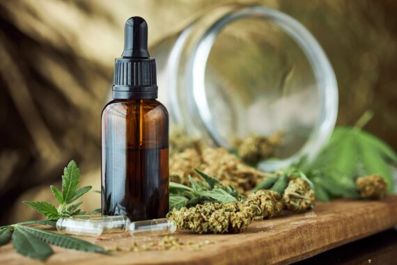 CBD oil trend 2023